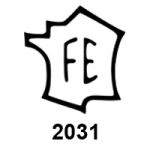 FE 2031
