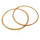 Corde di budello grandi orologi a pendolo, due corde á 350 cm lunghezza 1,00 mm