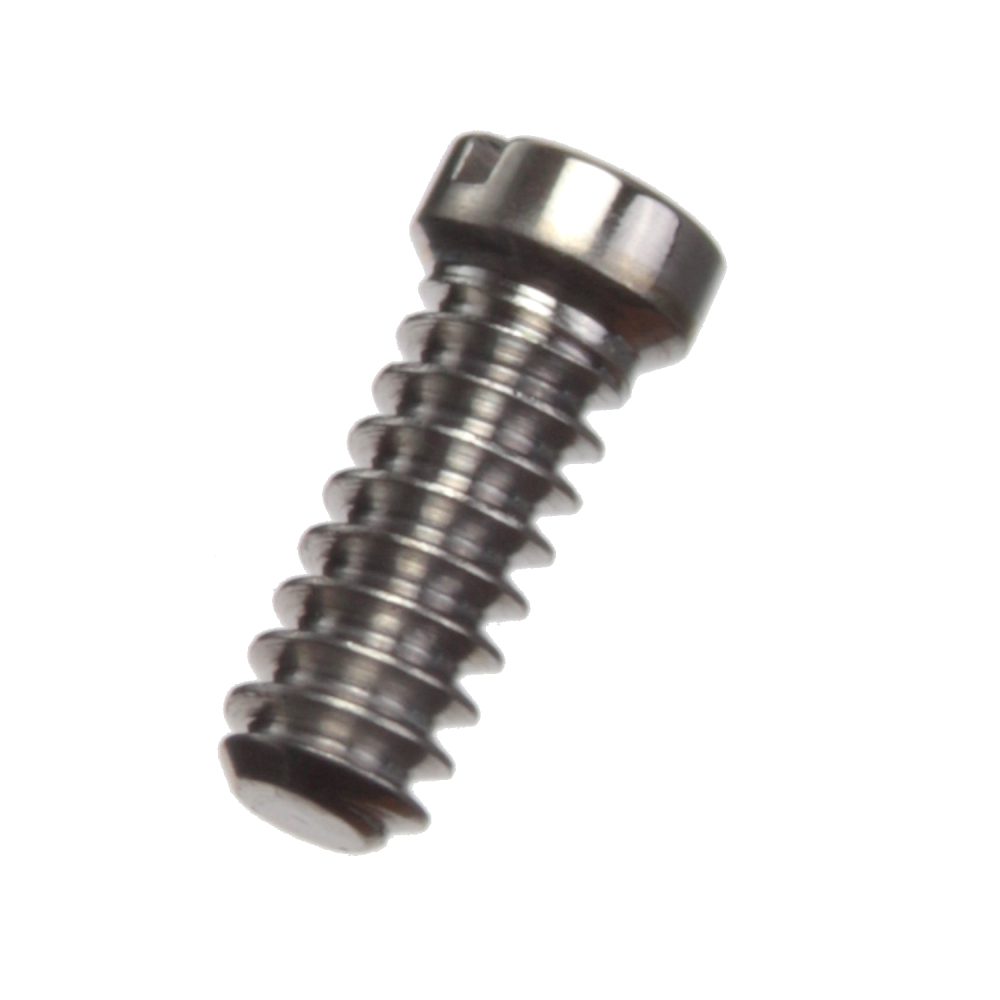 cartier spare screw