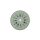 Cadran de montre de poche émaillé romain / arabe 24 mm