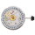 APOCALYPTICA Reloj de pulsera DIY Set ETA 2824-2 exclusivo y único