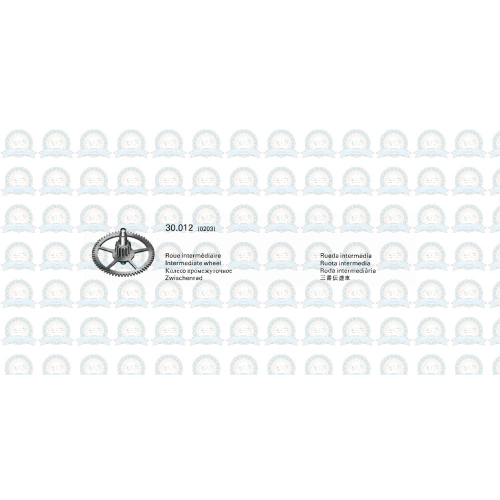 203 Roue intermediaire