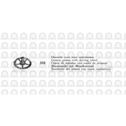 242 Chaussee H0